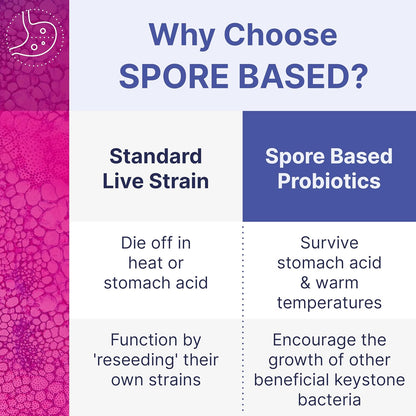 MegaSporeBiotic Spore-Based Probiotic for Women & Men | Shelf-Stable Digestive Support | Travel-Friendly | 60 Capsules