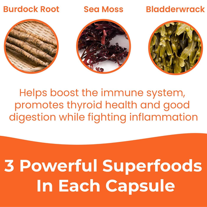 Sea Moss Advanced Superfood 1250 mg 60 Capsules 2 Pack by INFINITE AGE